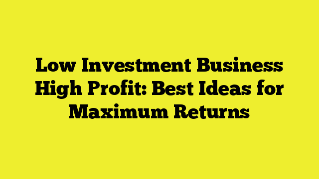 Low Investment Business High Profit: Best Ideas for Maximum Returns