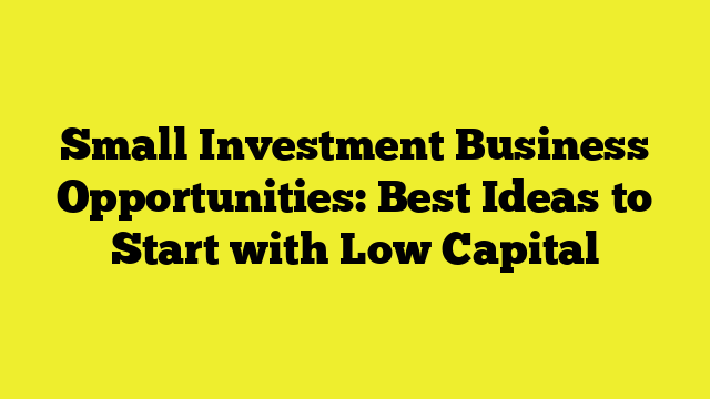 Small Investment Business Opportunities: Best Ideas to Start with Low Capital